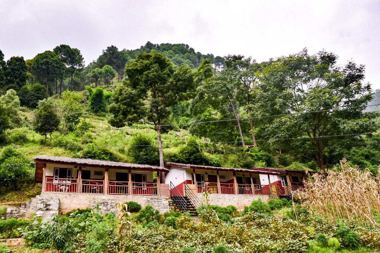 Solid Rock - Lodge & Restaurant Pharping Buitenkant foto